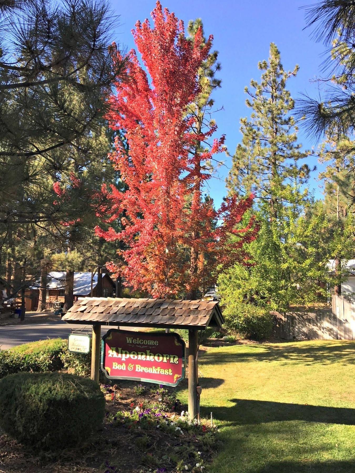 Alpenhorn Bed And Breakfast Big Bear Lake Buitenkant foto